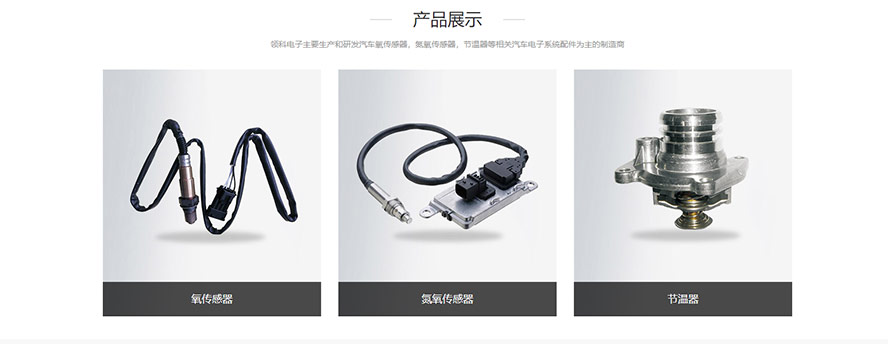 領(lǐng)科外貿(mào)品牌網(wǎng)站