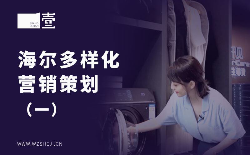 海爾多樣化營銷策劃(一)